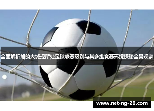 全面解析加的夫城现所处足球联赛级别与其多维竞赛环境探秘全景观察 全面解析加的夫城现所处足球联赛级别与其多维竞赛环境探秘全景观察