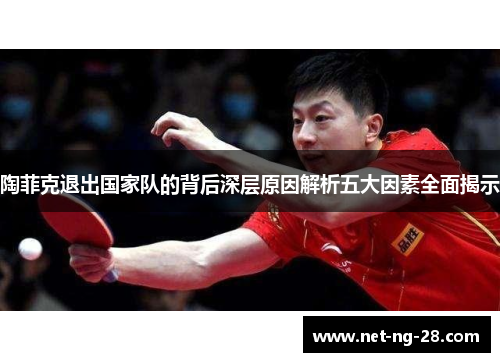陶菲克退出国家队的背后深层原因解析五大因素全面揭示
